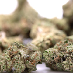 Joker OG THCa Greenhouse Smalls