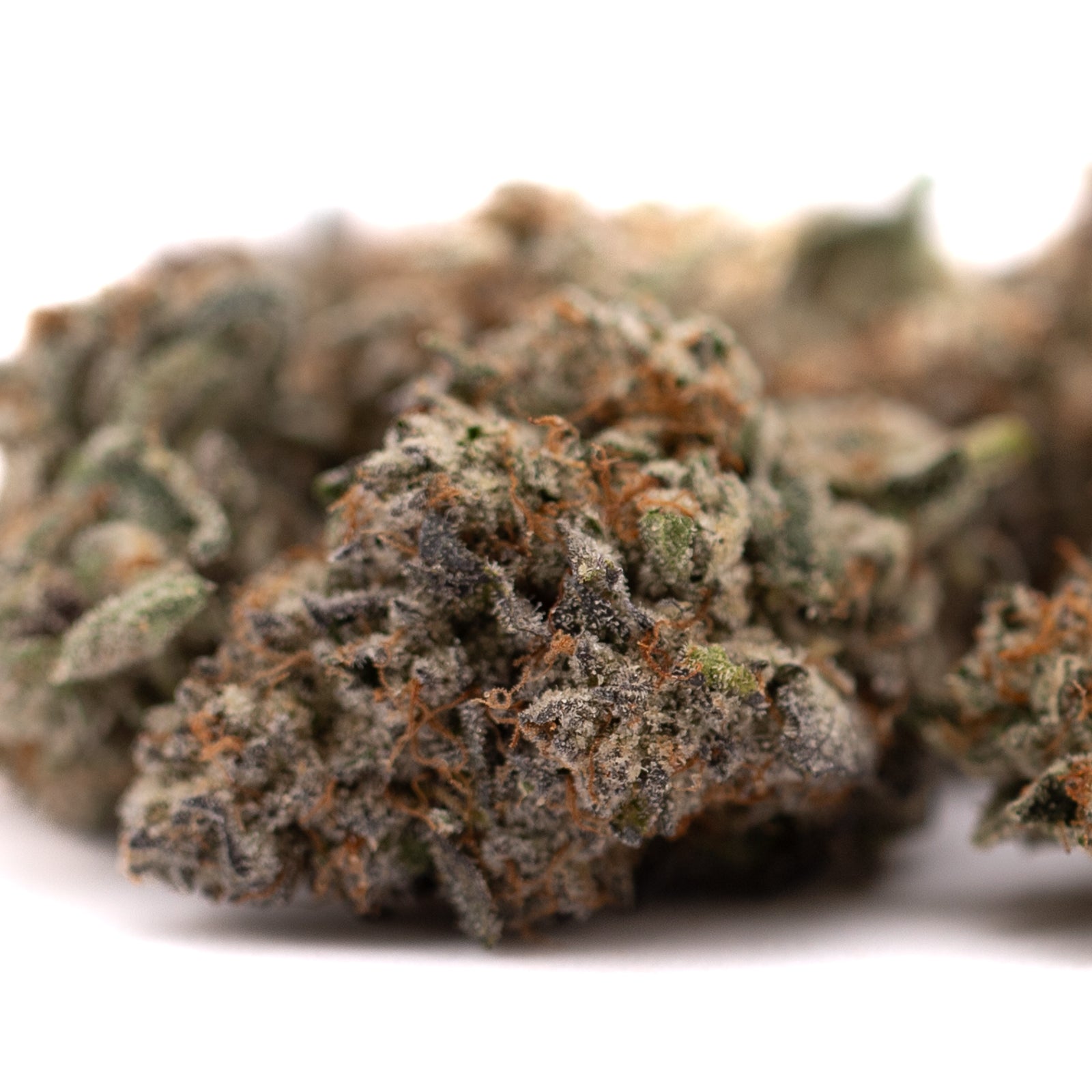 Jokerz Candy Indoor THCa Flower - Plants