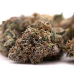 Jokerz Candy Indoor THCa Flower - Plants