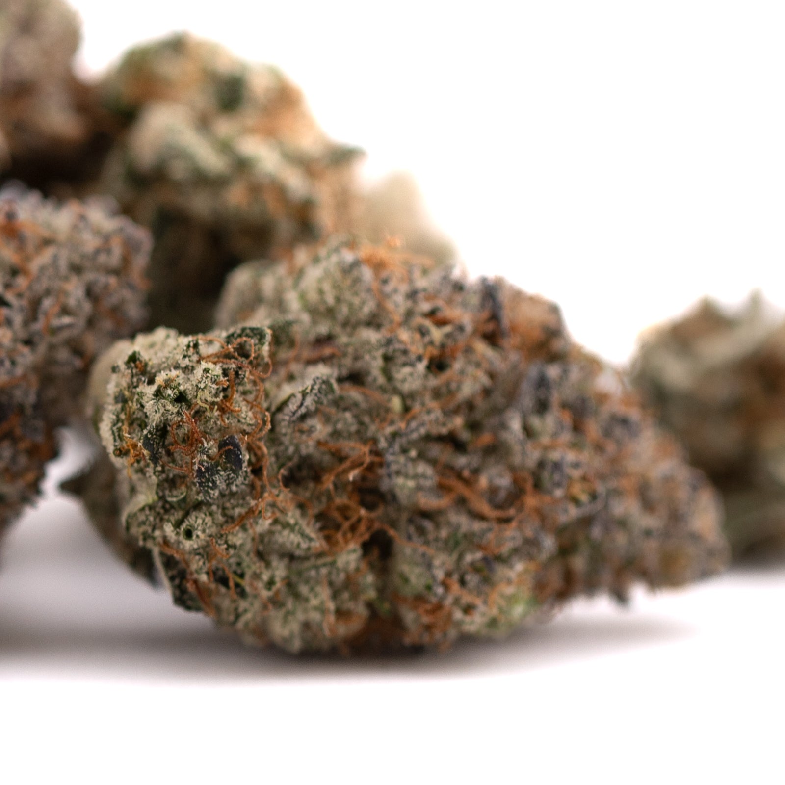 Jokerz Candy Indoor THCa Flower - Plants