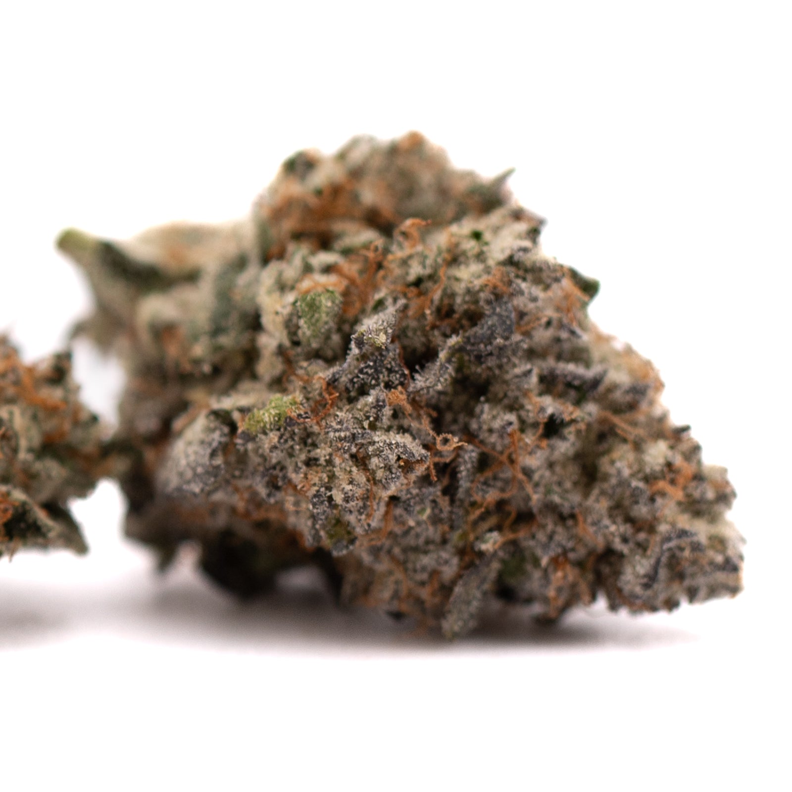 Jokerz Candy Indoor THCa Flower - Plants