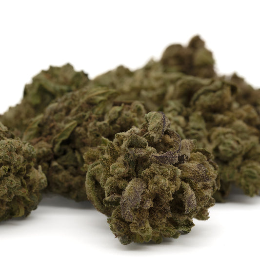 Lemon Cherry Gelato THCa Flower Greenhouse Wholesale - Plants