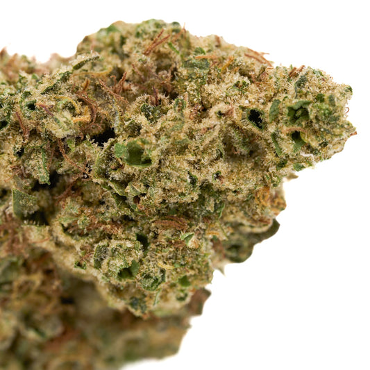 Lava Cake THCa Hemp Flower Greenhouse - Plants