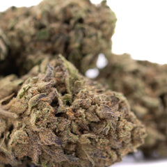 Lemon Cherry Gelato THCa Hemp Flower Greenhouse