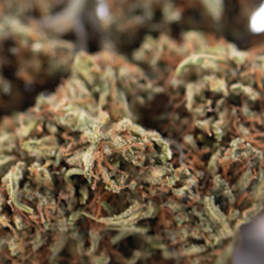 Lemon Octane CBD Full-Term Hemp Flower Wholesale