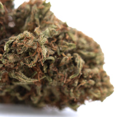 Lemon Octane CBD Full-Term Hemp Flower Wholesale