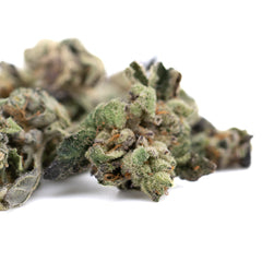 Lemon OG Indoor THCa Flower Smalls - Plants
