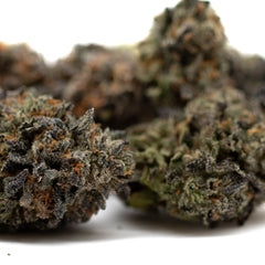 Lemon OG Indoor THCa Flower - Plants