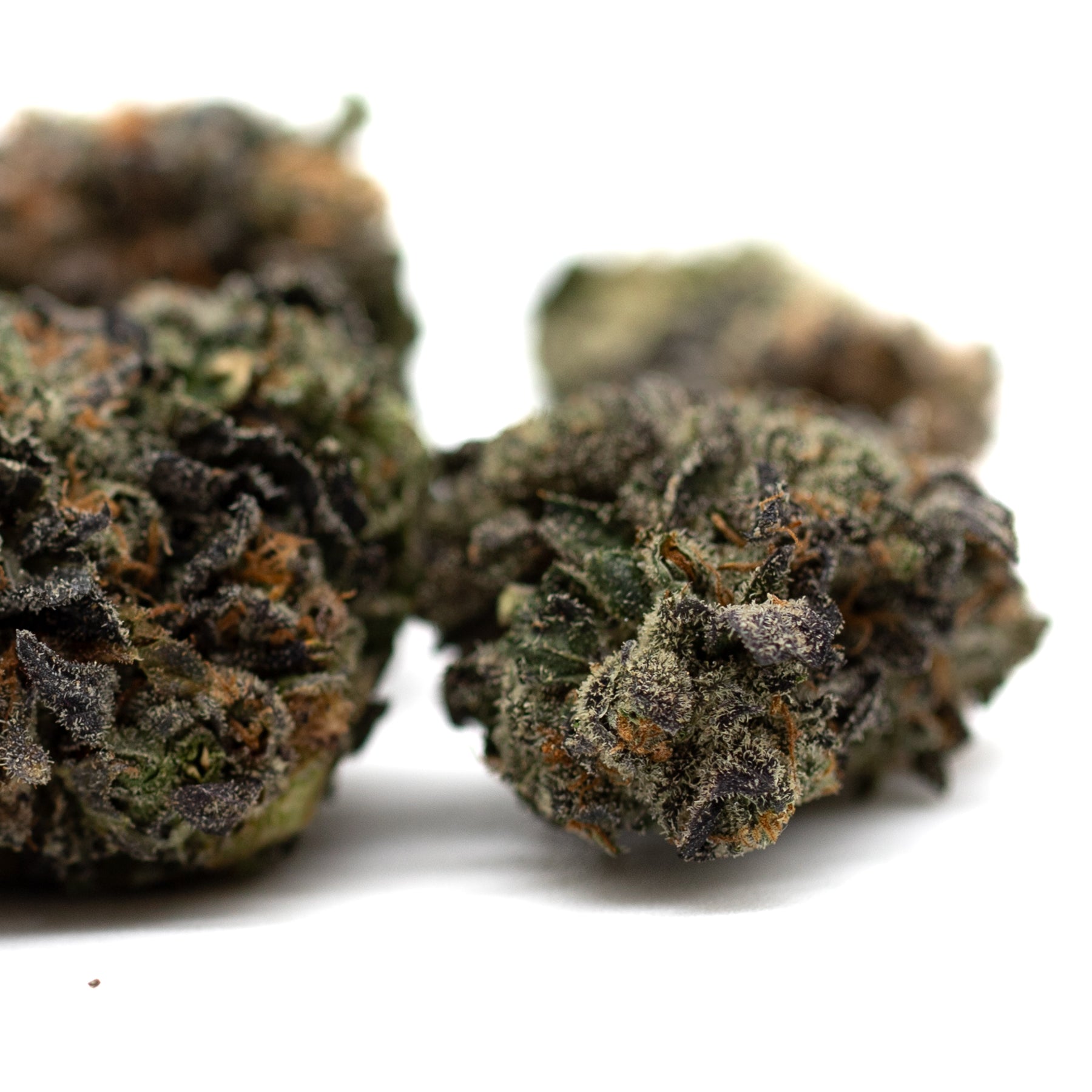 Lemon OG Indoor THCa Flower - Plants