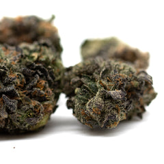 Lemon OG Indoor THCa Flower - Plants