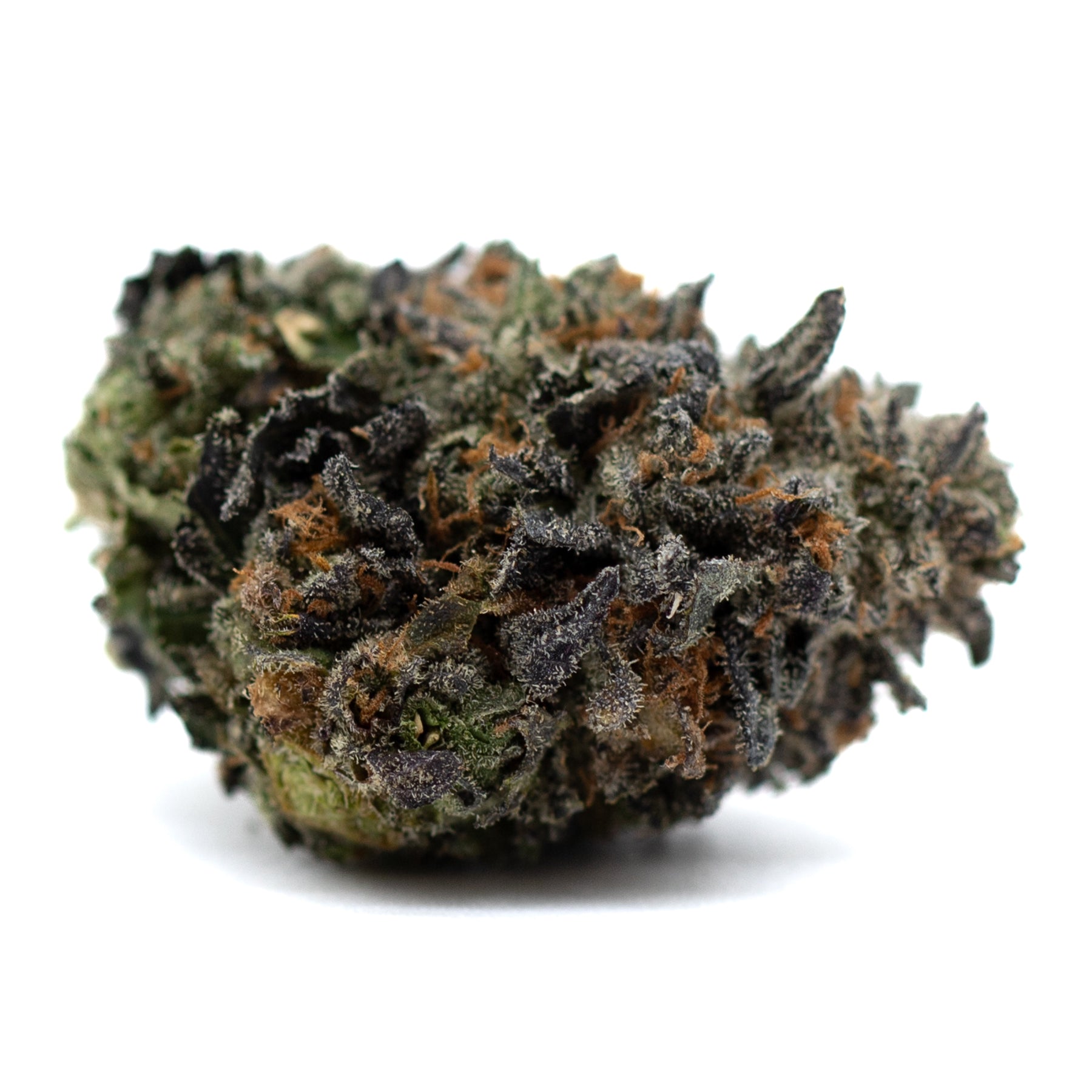 Lemon OG Indoor THCa Flower - Plants