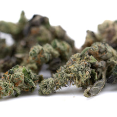 Lemon Octane CBD Full-Term Hemp Flower Smalls
