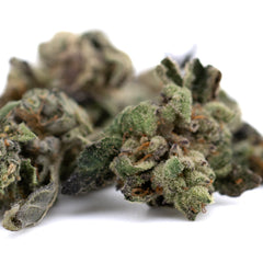Lemon Octane CBD Full-Term Hemp Flower Smalls