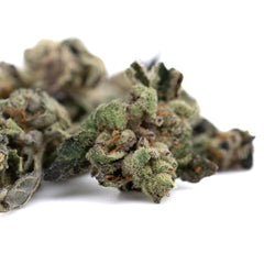 Lemon Octane CBD Full-Term Hemp Flower Smalls