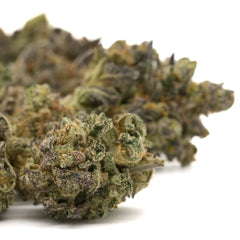 Lung Buster Indoor THCa Flower Wholesale - Plants