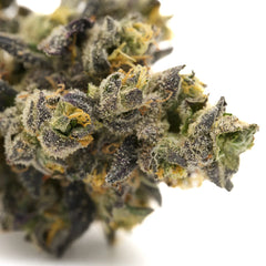 Lung Buster Indoor THCa Flower Wholesale - Plants