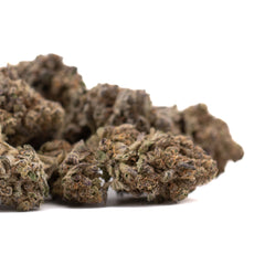 Lung Buster THCa Hemp Flower Indoor Wholesale