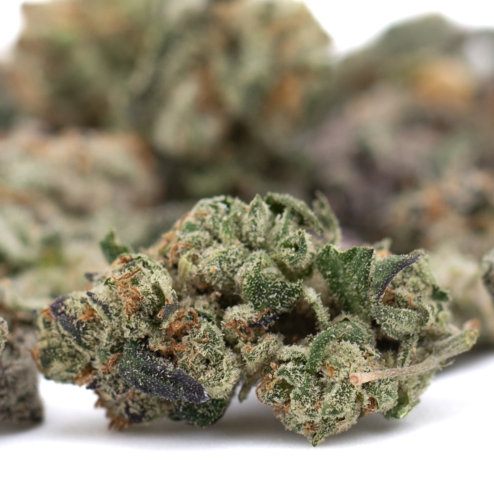 Lung Buster Indoor THCa Flower Smalls - Plants