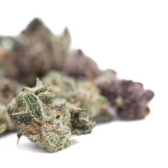 Lung Buster Indoor THCa Flower Smalls - Plants