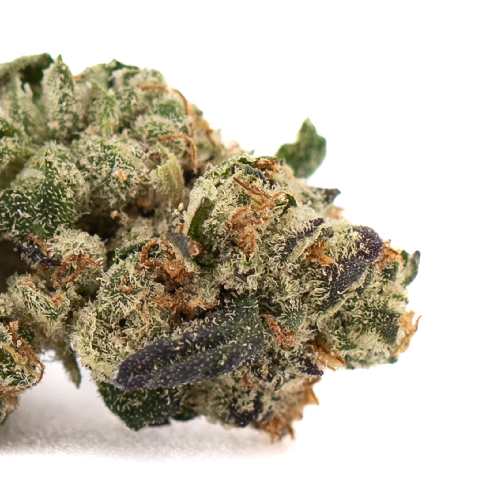 Lung Buster Indoor THCa Flower Smalls - Plants