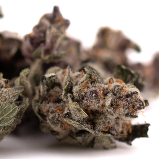 Mac And Gary Indoor THCa Flower Smalls - Plants