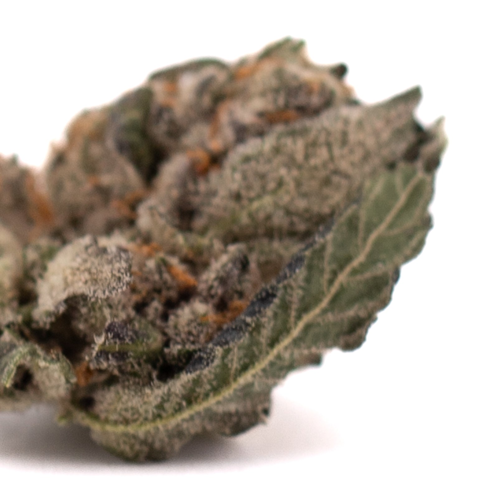 Mac And Gary Indoor THCa Flower Smalls - Plants