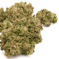 MAC #1 THCa Trim Wholesale 1LB - 1 LB - Plants