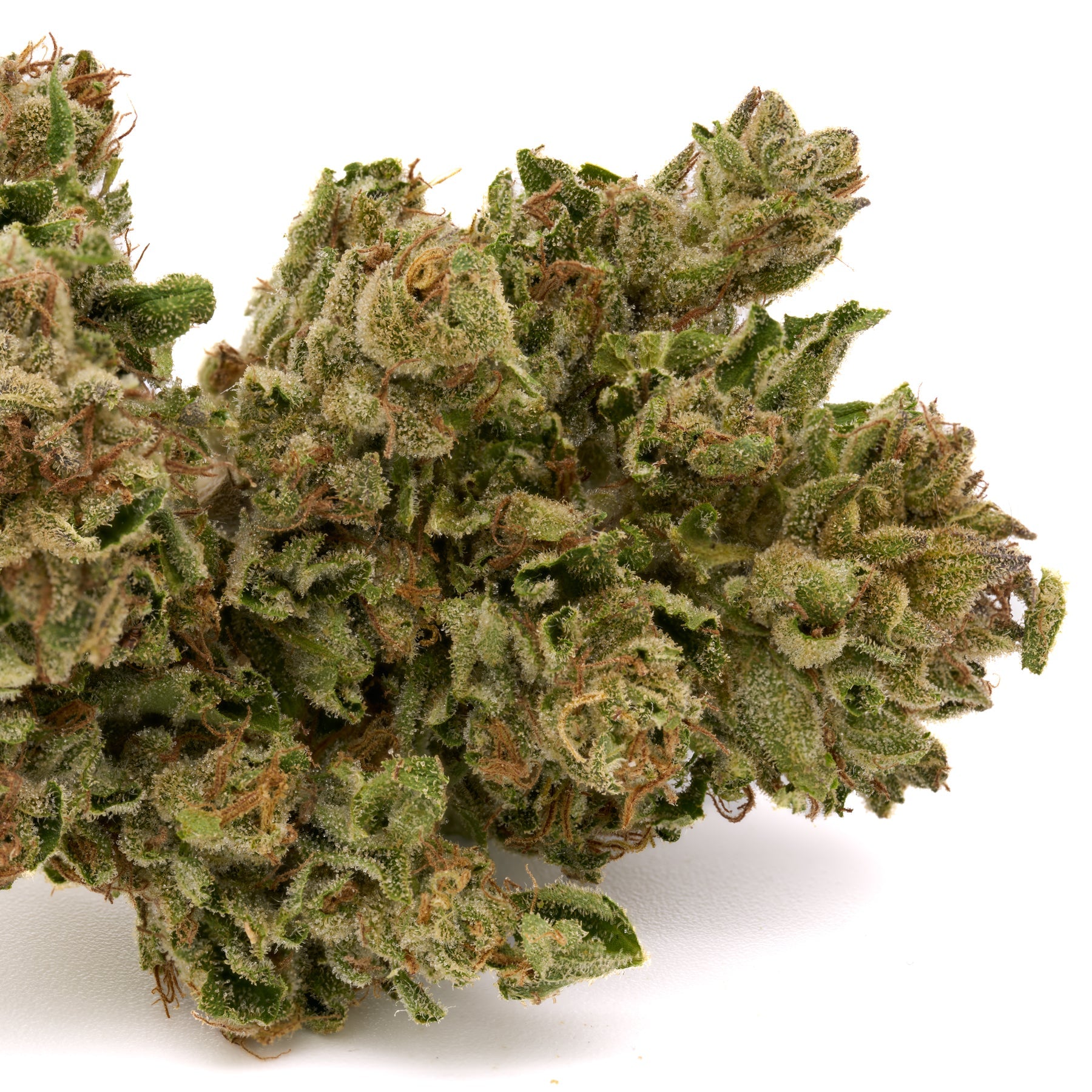 MAC #1 THCa Trim Wholesale 1LB - 1 LB - Plants