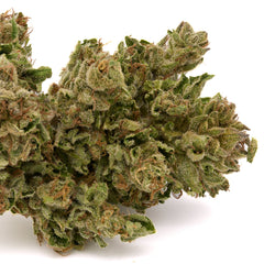 MAC #1 THCa Trim Wholesale 1LB - 1 LB - Plants