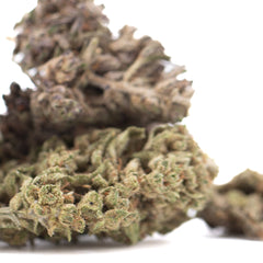 Magik CBD Hemp Flower Full-Term