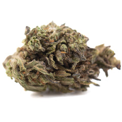 Magik CBD Hemp Flower Full-Term Wholesale