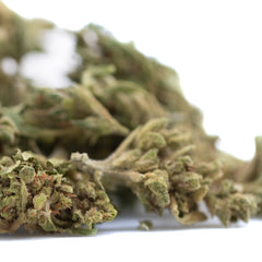 Magik CBD Hemp Flower Full-Term Smalls Wholesale