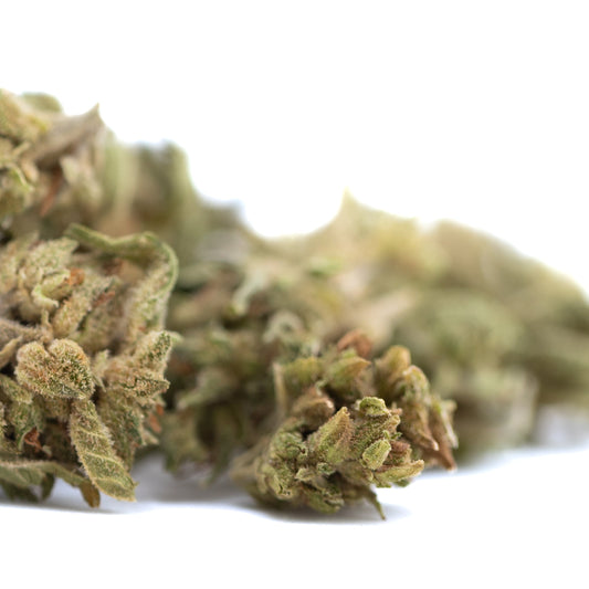 Magik CBD Hemp Flower Full-Term Smalls Wholesale