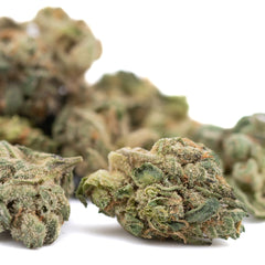 Maria’s Cookies Indoor THCa Flower Smalls - Plants