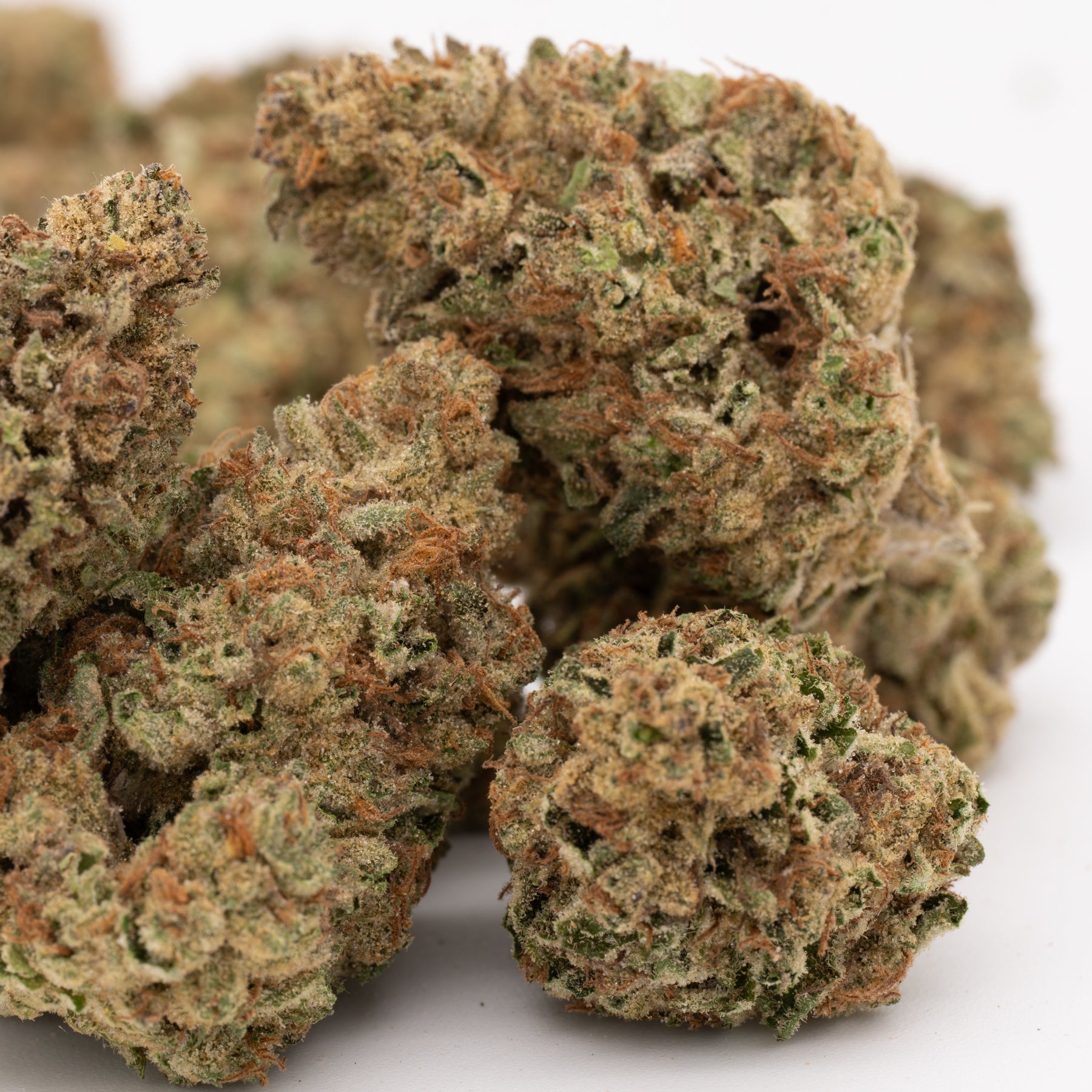 Marias Cookies Full-Term THCa Flower - Plants