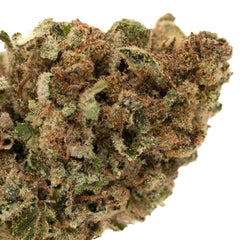 Marias Cookies Full-Term THCa Flower - Plants