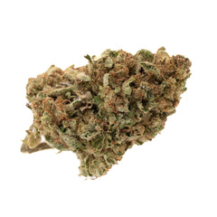 Marias Cookies Full-Term THCa Flower - Plants