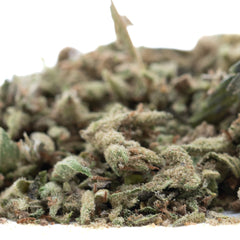 Mega Gummie Bearz Full-Term THCa Trim Wholesale