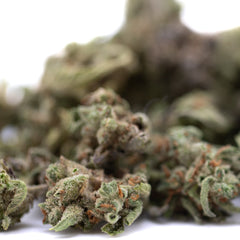 Mega Gummie Bearz THCa Flower Smalls Full-Term