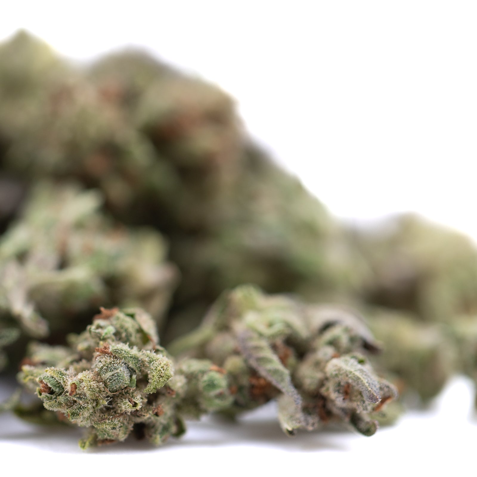 Premium Mega Gummie Bearz THCa flower smalls with green bud and trichomes