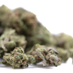 Mega Gummie Bearz THCa Flower Smalls Full-Term