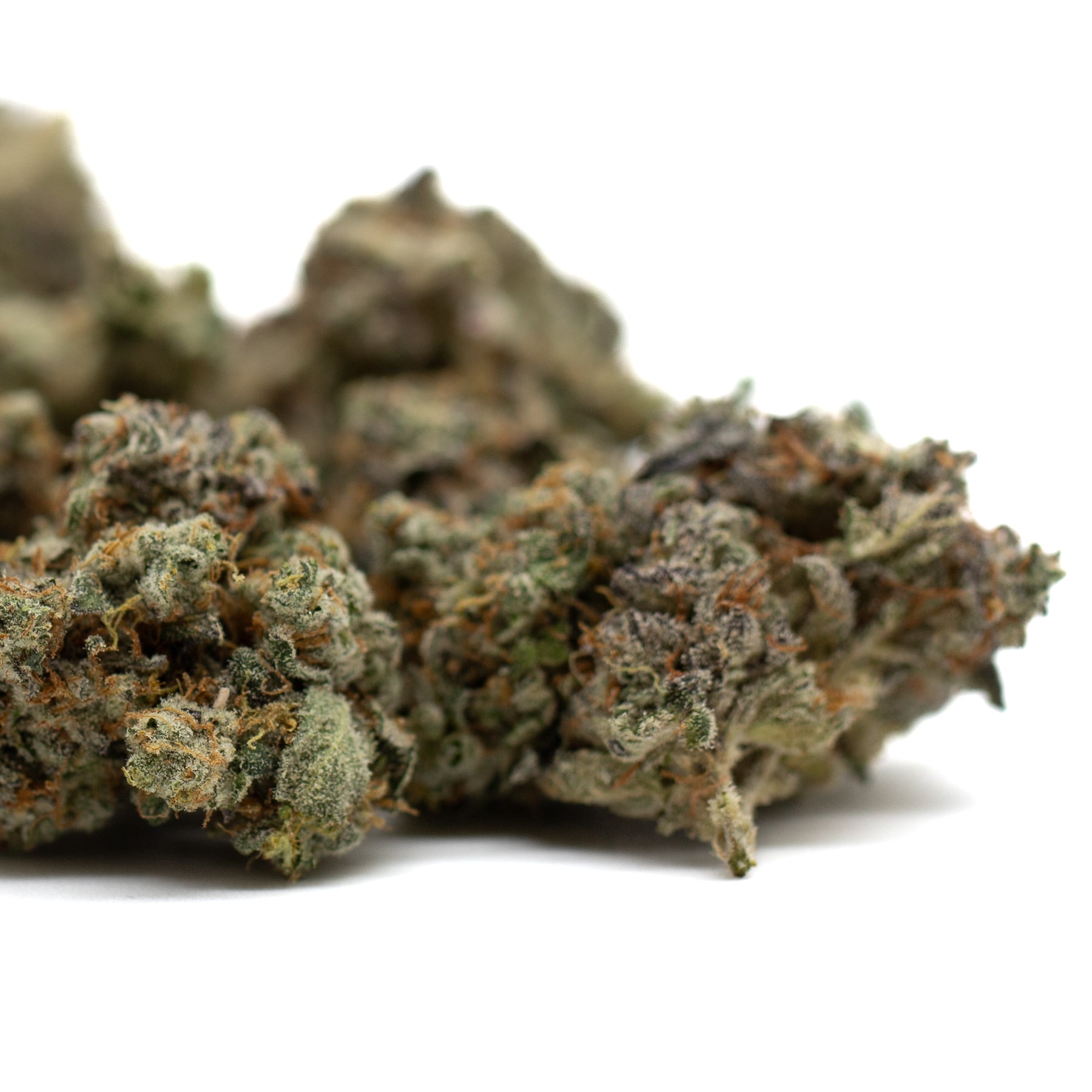 Mint Runtz Indoor THCa Flower - Plants