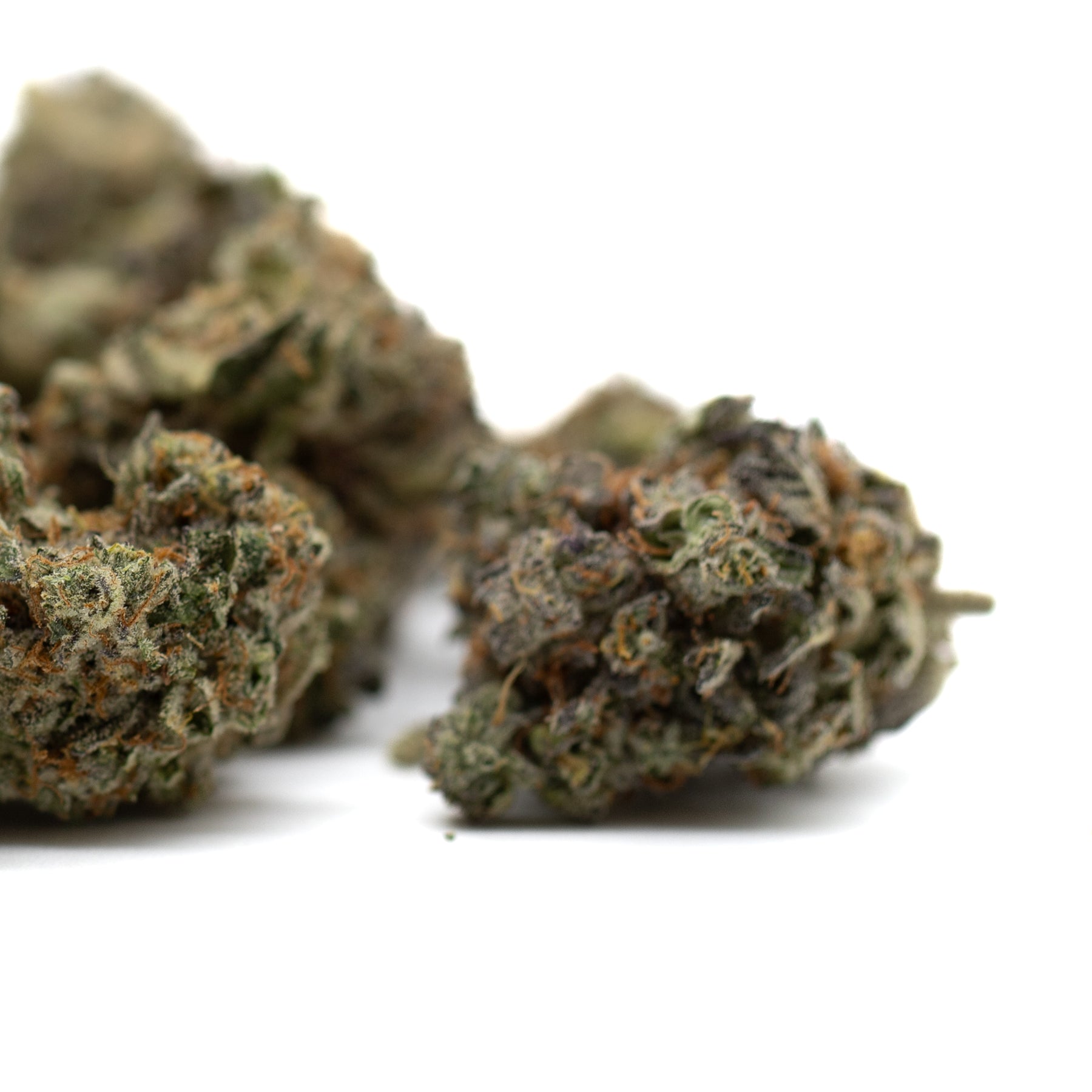 Mint Runtz Indoor THCa Flower - Plants