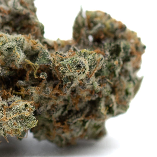 Mint Runtz Indoor THCa Flower - Plants