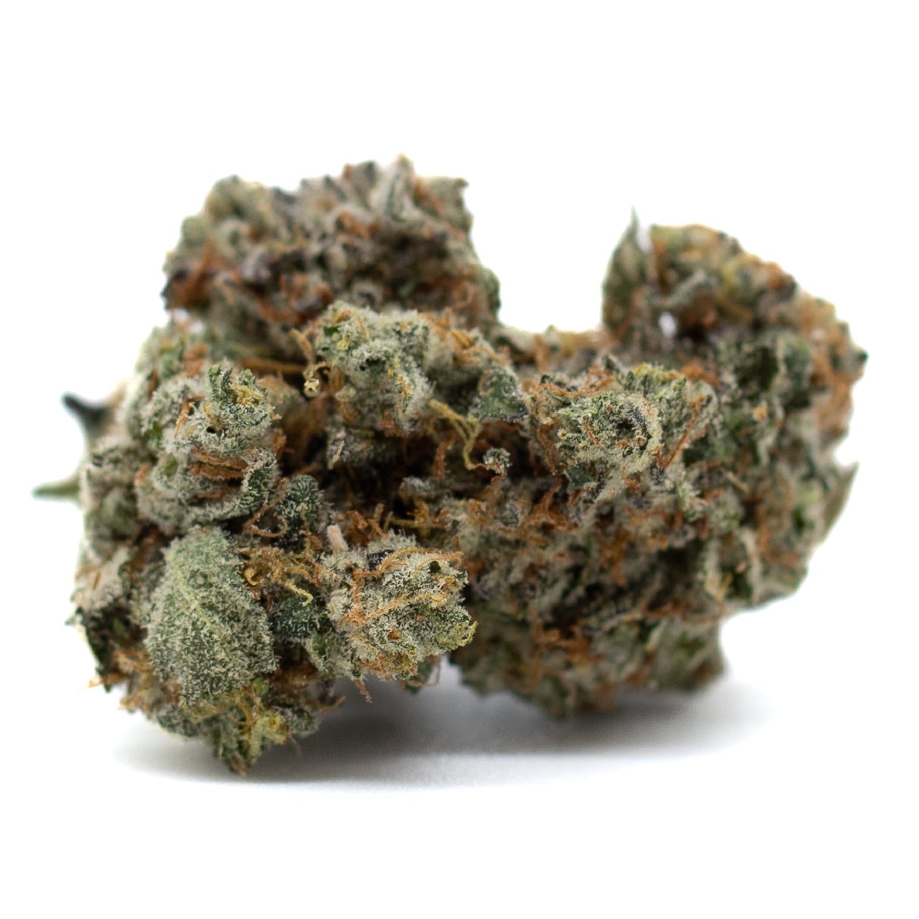Mint Runtz Indoor THCa Flower - Plants