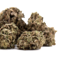 Money Ball THCa Hemp Flower Greenhouse