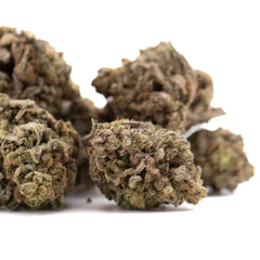 Money Ball THCa Hemp Flower Greenhouse Wholesale