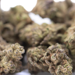 Money Ball THCa Hemp Flower Greenhouse Smalls