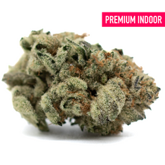 Moroccan Peaches Indoor THCa Flower Wholesale