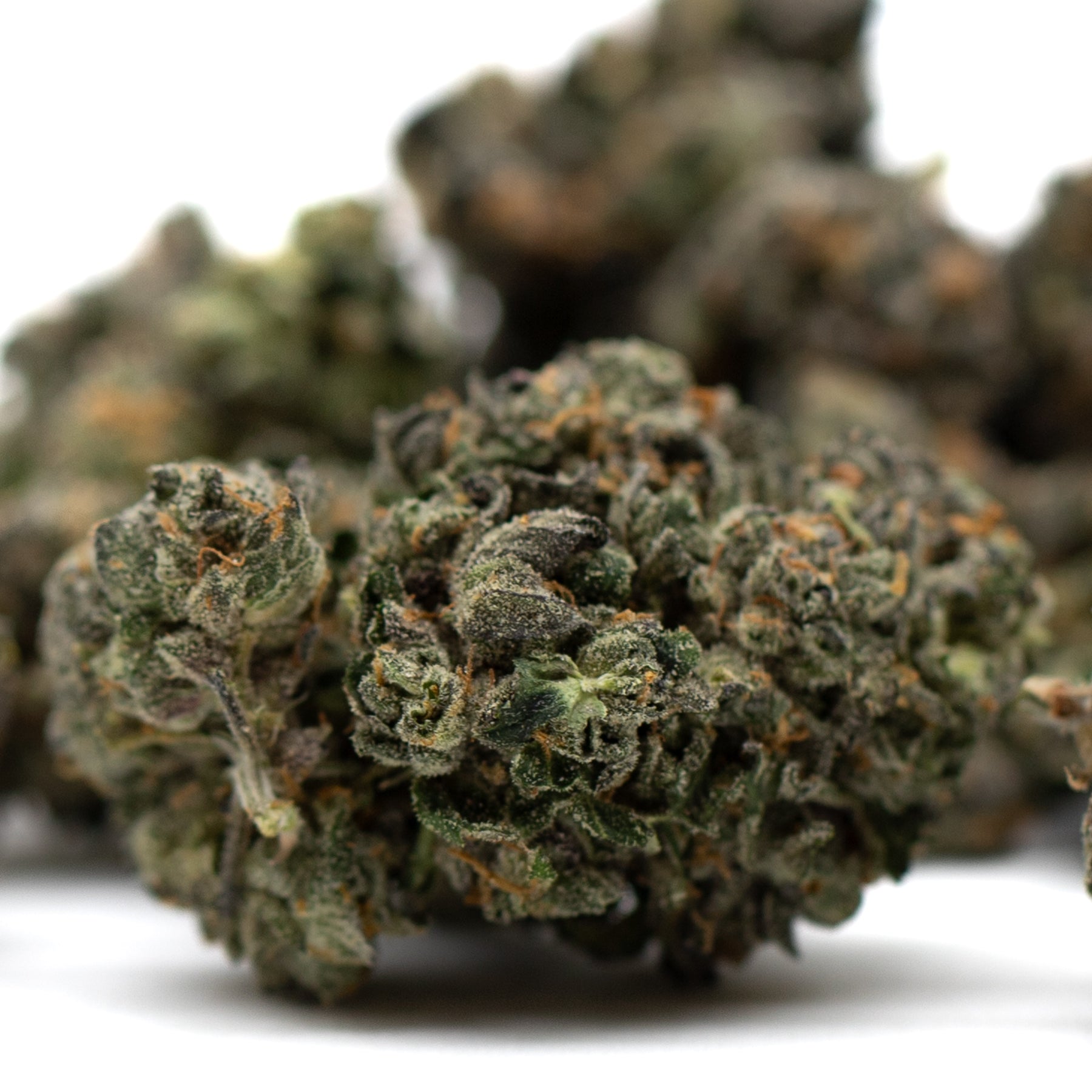 Motorbreath Indoor THCa Flower - Plants